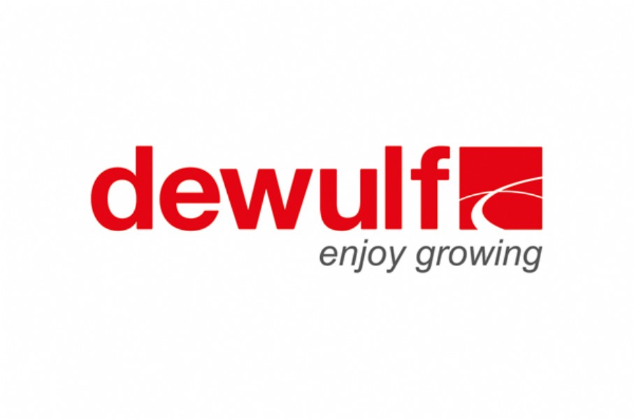 Dewulf jobs